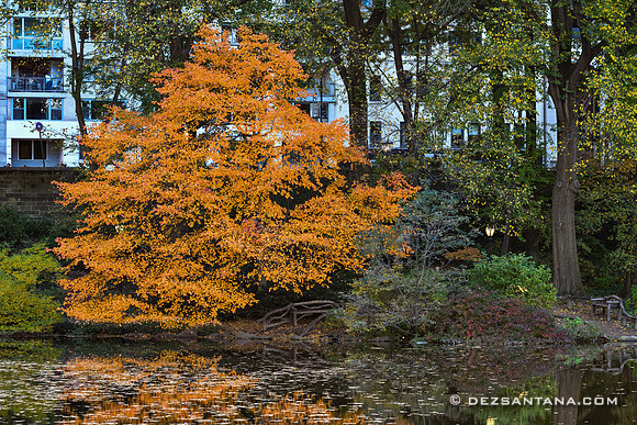 Central Park