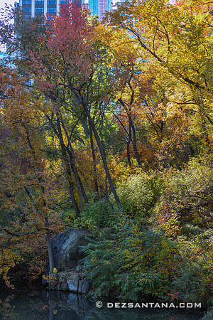 Central Park