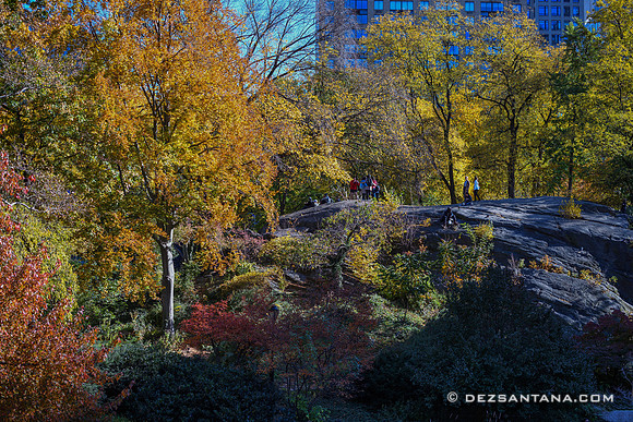 Central Park