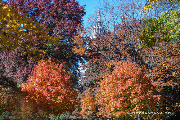Central Park