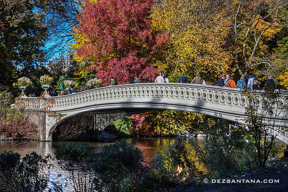 Bow Bridge