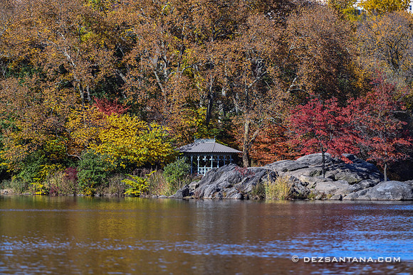 Central Park