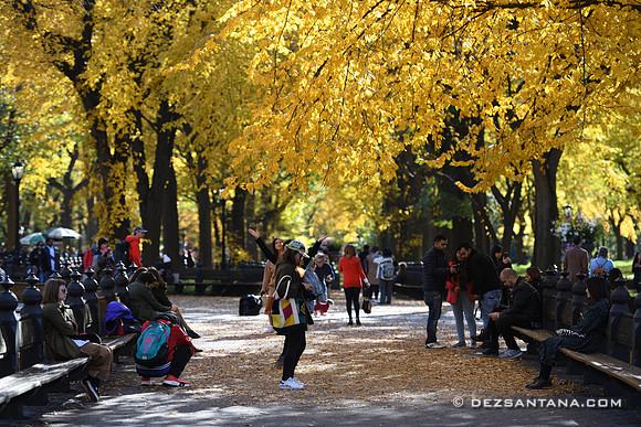 Central Park