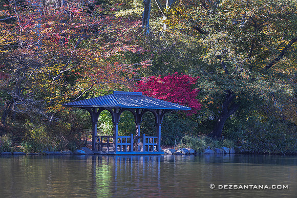 Central Park