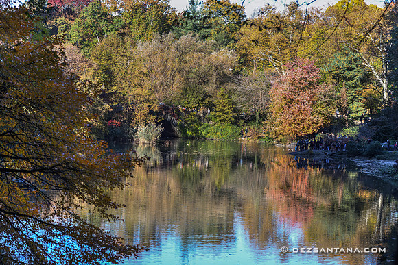 Central Park