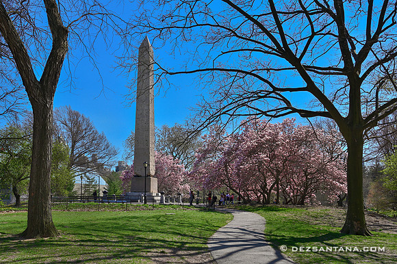 Cleopatra's Needle, 2022