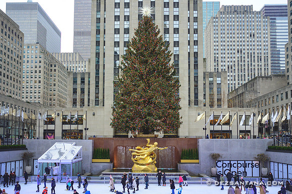 Rockefeller Center Christmas Tree