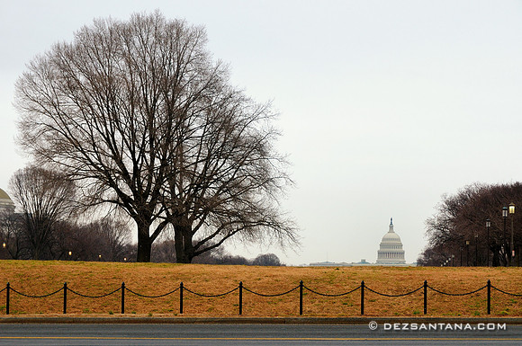U.S. Capitol