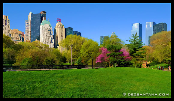 Central Park