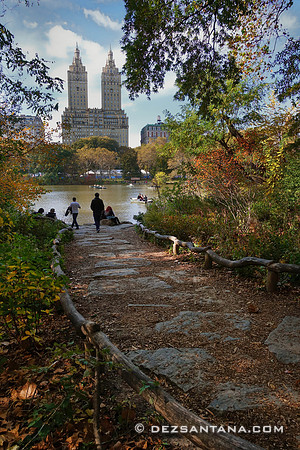 Fall Colors
