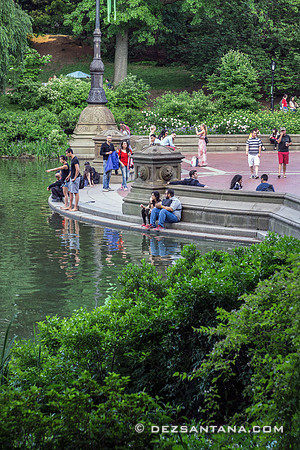 Bethesda Terrace