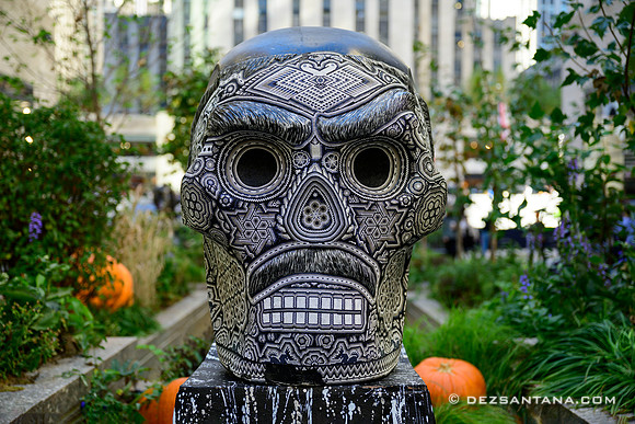 Dia De Los Muertos by Machaca Studio