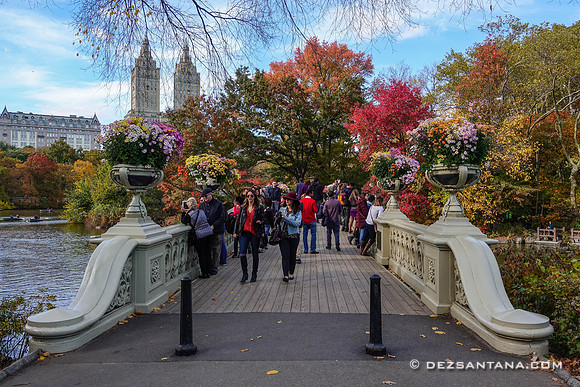 Bow Bridge