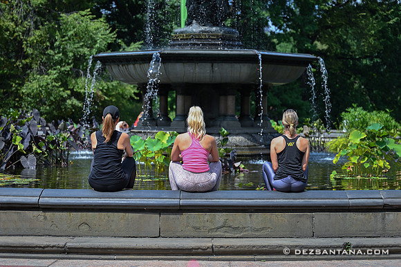 Bethesda Fountain