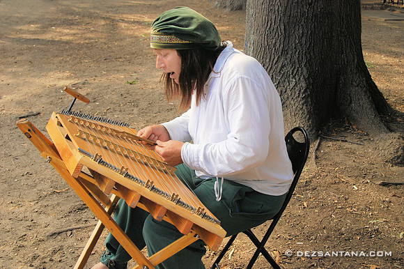 Musician