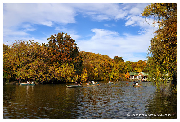 The Lake