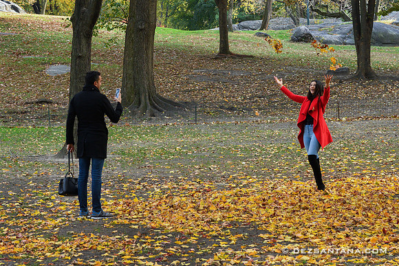 Autumn