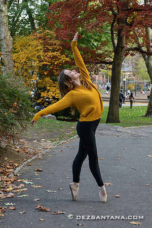 Autumn