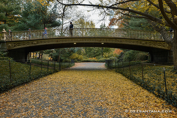Pinebank Arch