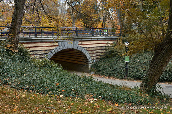 Playmates Arch