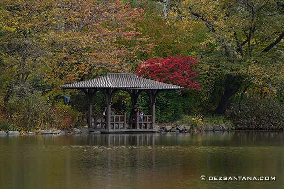The Lake