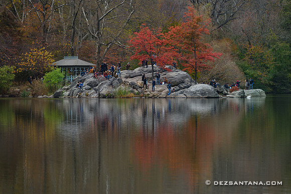 The Lake
