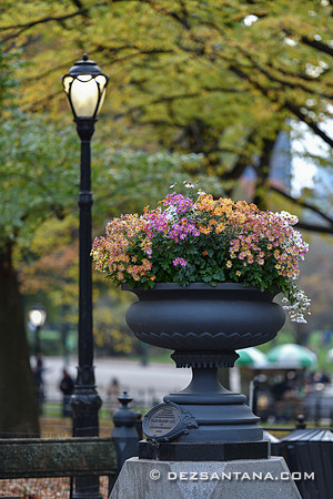 Autumn