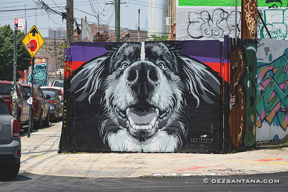 The Bushwick Collective