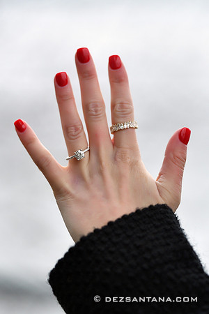 Alexander & Kristina Proposal