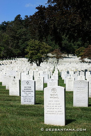 Cypress Hills National Cemetery