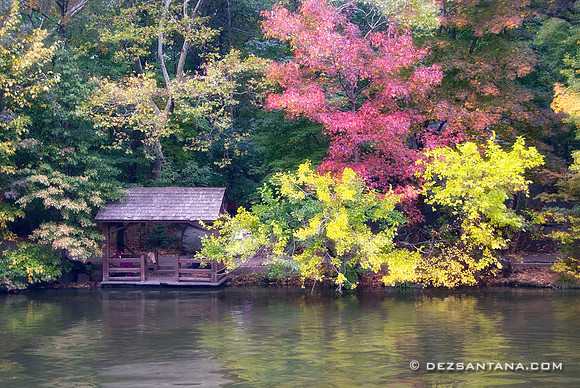 Lakeside Shelter