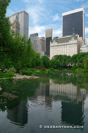 The Plaza Reflects