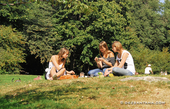 Picnic