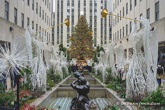 Rockefeller Center Christmas Tree