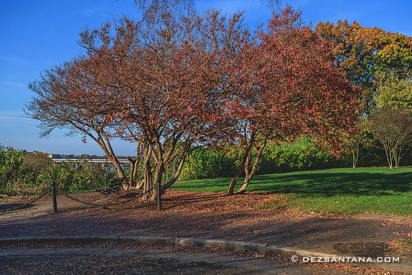 Church Hill Overlook