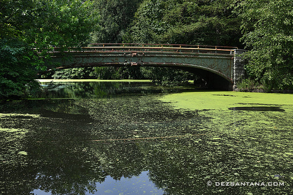 Lullwater Bridge