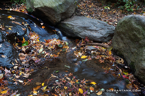 Stream