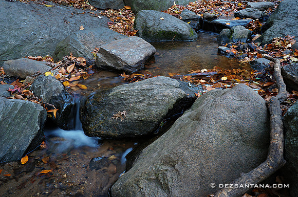 Stream