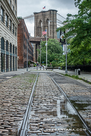 Plymouth Street, 2019