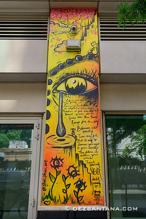 5PointzLIC