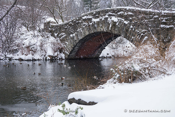 Gapstow Bridge