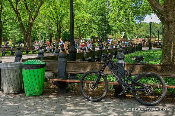 Central Park's The Mall, 2023
