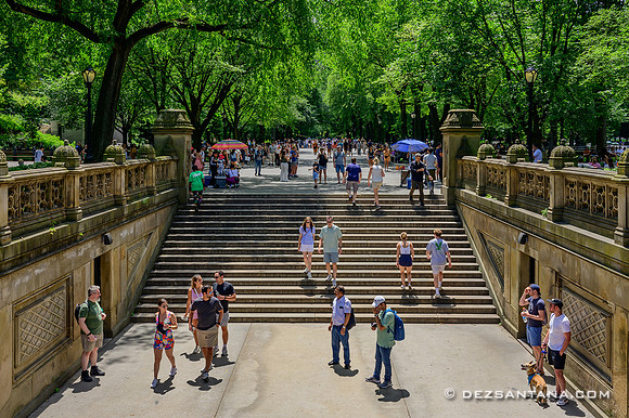 Bethesda Terrace, 2023