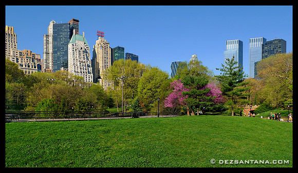 Central Park