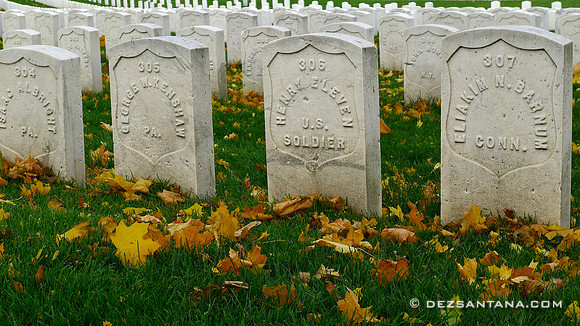 Cypress Hills National Cemetery