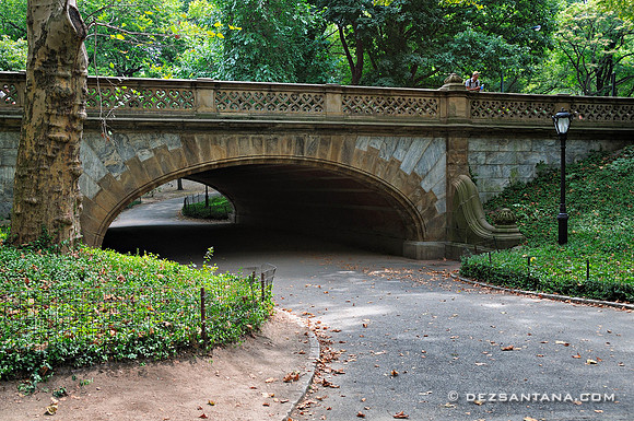 Greyshot Arch