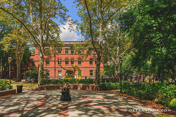 Pratt Institute Library Grounds, 2022
