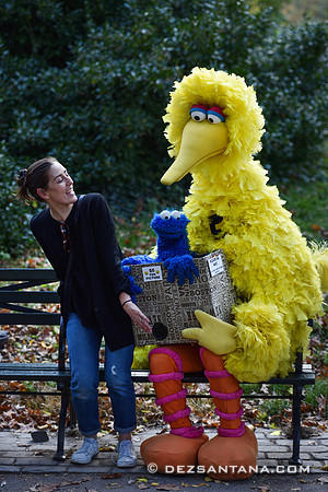 Big Bird