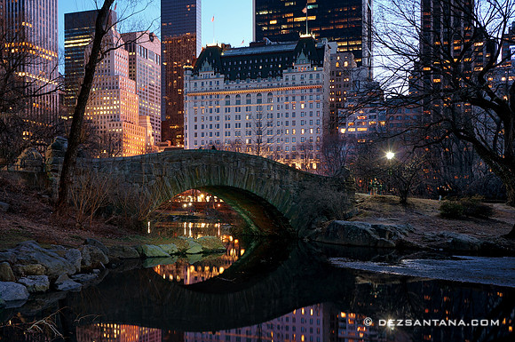 Gapstow Bridge, 2012