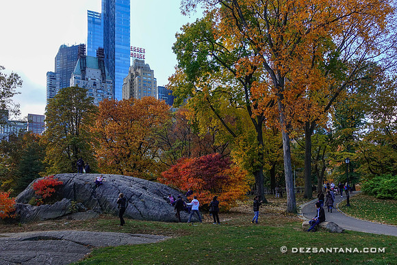 Fall Colors